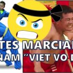 🥋 Descubre las fascinantes artes marciales vietnamitas: historia, técnicas y maestros destacados